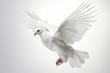 The breathtaking beauty and grace of this white bird in flight, with wings spread wide and soaring through the sky. AI Generative.