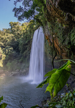 Beautiful Misol-Ha waterfall in the jungle in Mexico. © nikwaller