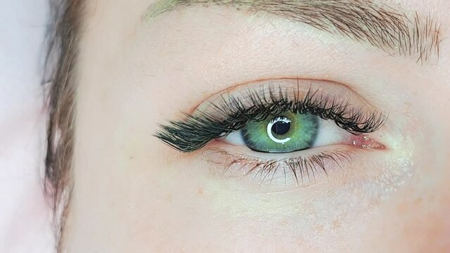 Close up of eye with eyelash extensions ,beauty salon treatment ,2d volume, 3d volume, classical lashes,Russian volume,megavolume, new set.