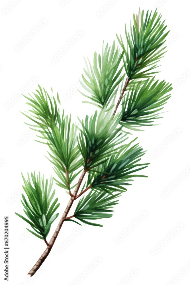Poster a beautiful watercolor painting of a pine tree branch. this artwork captures the delicate details an