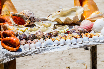 Many seashells for sale at the beach at Zanzibar, Tanzania