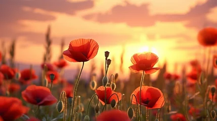 Poster Beautiful nature background with red poppy flowers poppy in the sunset in the field. Remembrance Day, Veterans Day, lest we forget the concept. generative ai © Ahtesham