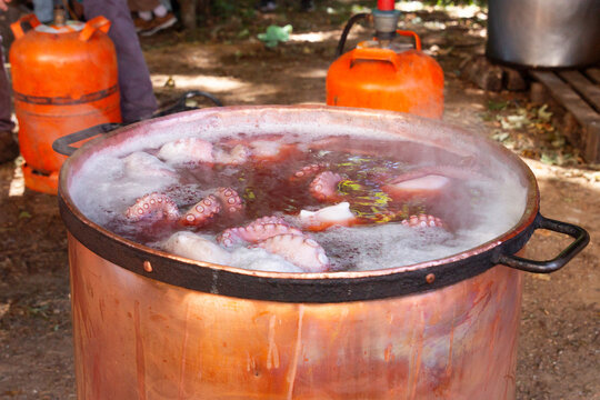 Boiling octopus in outdoor setting