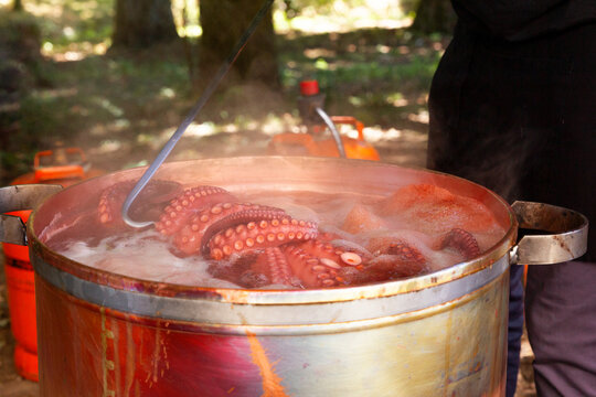 Boiling octopus in outdoor setting
