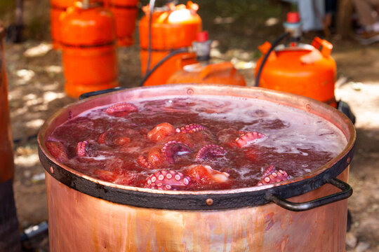 Simmering octopuses in outdoor pot