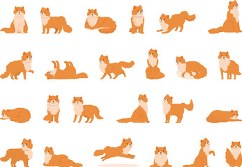 Obraz premium Persian cat icons set cartoon vector. Animal cute pet. Domestic fur mammal