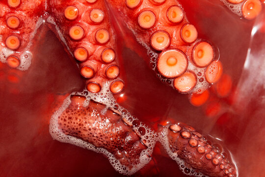 Octopus tentacle details in red broth