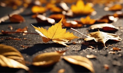beautiful autumn leaves in park, fall season beautiful autumn leaves in park, fall season autumn...