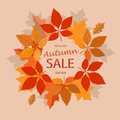 Autumn sale card design. Autumn fall concept with leaves. Quote - sale best price Seasonal poster concept. Typography design. Stock vector illustration on light background