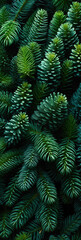 A close up of pine cones and branches background pattern.