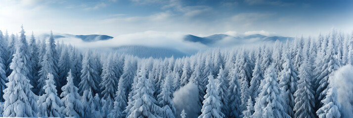 A group of snow covered trees in a forest. Winter pattern background.