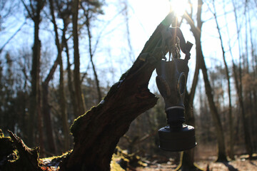 Stara maska ​​gazowa na drzewie w lesie