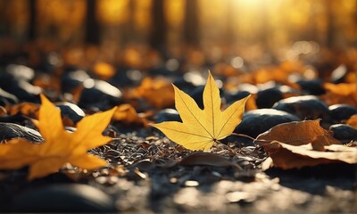 autumn leaves on the ground autumn leaves on the ground yellow leaves on the tree in autumn. autumn...