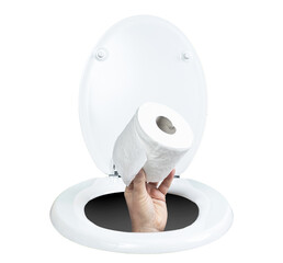 a roll of toilet paper