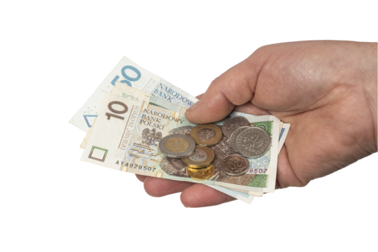 Polish zloty - Powered by Adobe