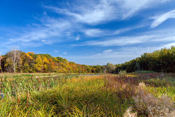 Lakeshore in old dense autumn forest with tall trees and calm sky on bright sunny day. Kreminna Nature Reserve, Lugansk reg., Ukraine.