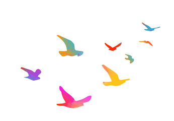 A flock of colored birds. hand drawing. Not AI, Illustrat3. Vector illustration