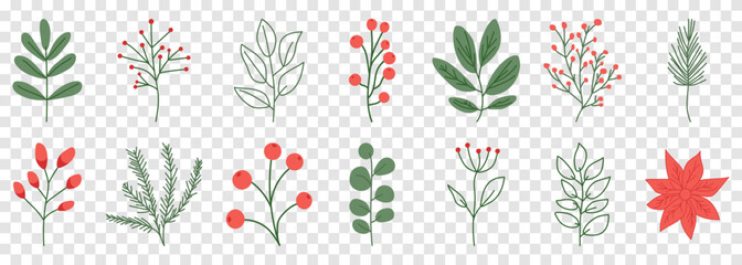 Set of hand drawn winter plant and leaves. Holiday decoration. Vector illustration isolated on transparent background