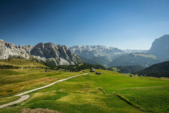 A trailing leading through the alpine meadows of secede in the Italian Dolomites on a summer day.