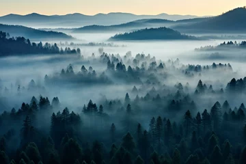 Foto op Plexiglas Aerial view of foggy woodland at dawn. Generative AI © Tate