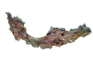 Element of plastic makeup for the face on a transparent background, scar, wound