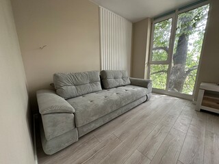 gray sofa in a small studio apartment