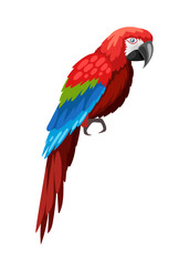 Fototapeta premium Cute colorful parrot. Red and blue bird, cute animal with feathers. Tropical and exotic mammal. Social media sticker. Cartoon flat vector illustration isolated on white background
