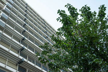 Rotterdam summer 2022