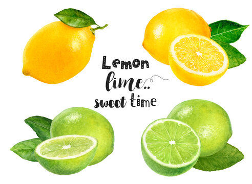 Watercolor illustration of limes and lemons set close up. Design template for packaging, menu, postcards