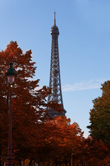 The Eiffel tower and autumnal trees in the foreground, Paris, France.