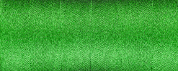 texture of thread for a sewing machine green color on a white background