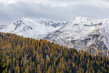 Scenic autumn view with snow covered mountains and golden larch trees, near Davos, Switzerland