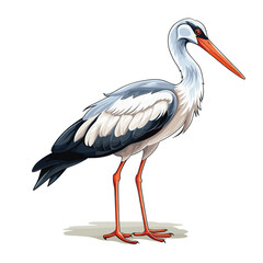 Hand Drawn Flat Color Stork Bird Illustration