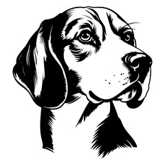 beagle dog black and white