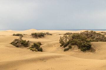 View over the dunes of Maspalomas on Gran caniria - 670247358