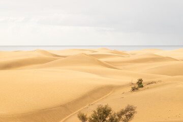 View over the dunes of Maspalomas on Gran caniria - 670247361