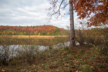AuSable River - Cooke Pond - Pine Acres - Huron National Forest