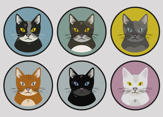 Set of colorful cat illustrations