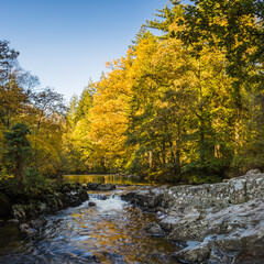 Afon Llugwy under Pont-y-Pair Bridge