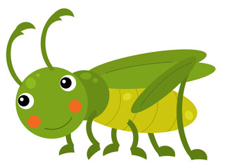 Cartoon animal grasshopper hopper on white background illustration
