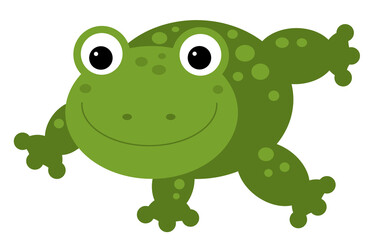 Cartoon animal frog toad on white background illustration