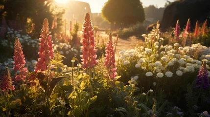 Rolgordijnen An exquisite Silvermist Snapdragon garden at golden hour, with the sunlight casting a warm glow on the flowers in full ultra HD. © Anmol