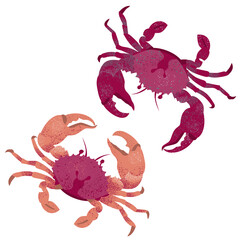Stylized flat crabs isolated on a white background. A set of crustaceans. A marine animal with claws. Seafood theme. An element for your design