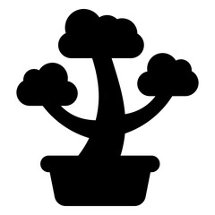 bonsai