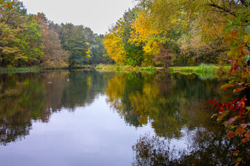 Fototapeta na wymiar autumn, autumn colors, pond, sunset, park, colorful autumn, evening in the park by the pond