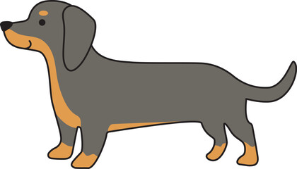 Dachshund dog in the blue-tan short-haired color icon.