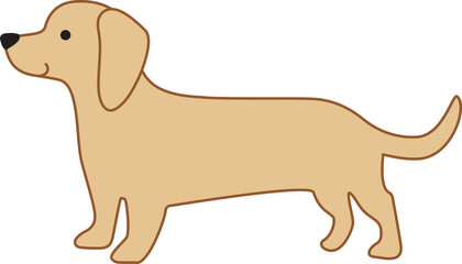 Dachshund dog in cream short hair color icon.