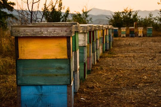 Beehive boxes plased far from city smoke in the nature