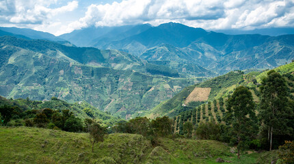 Beautiful Antioquia landscape with green mountains full of coffee plants