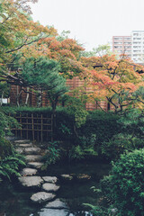 紅葉の色づく庭園